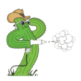 Arizona Powder Supply favicon